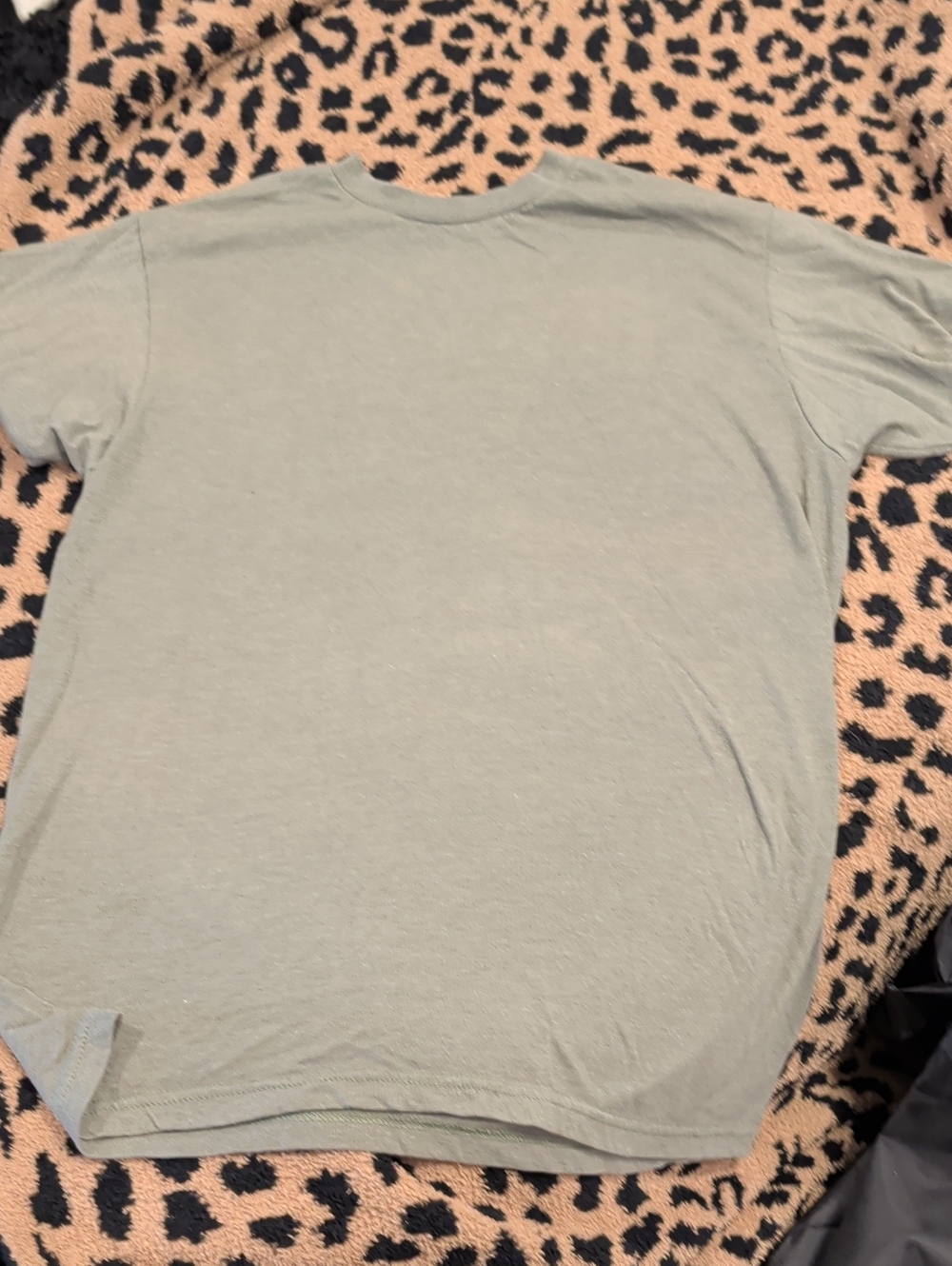 Source Unknown Short-Sleeve Crewneck T-Shirt in Light Olive